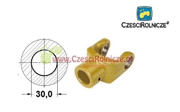 WWW0211.jpg