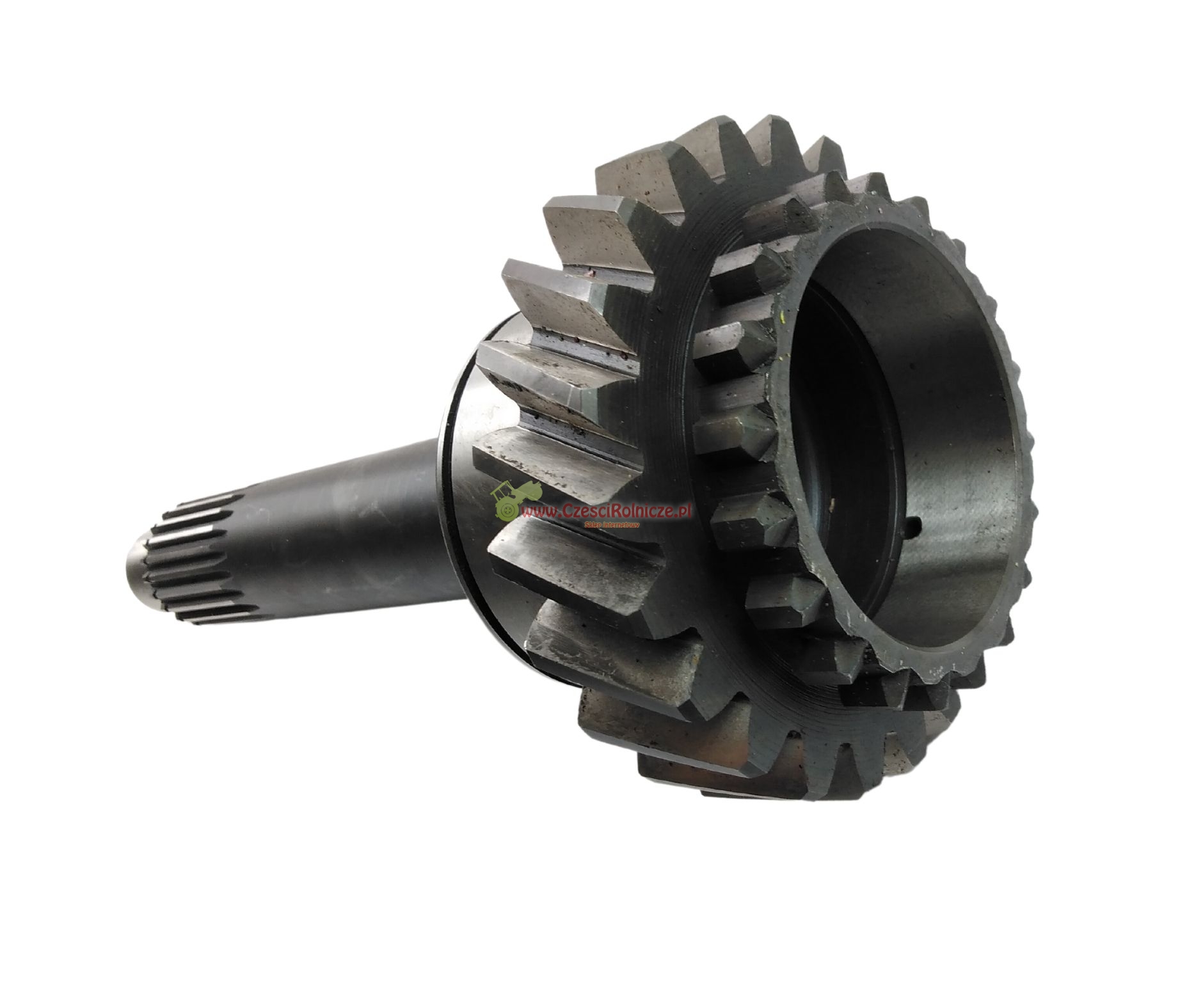UD033754-1.jpg