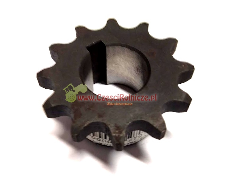 RNU03006a.jpg