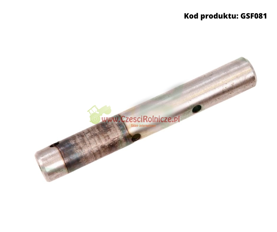 GSF081.jpg