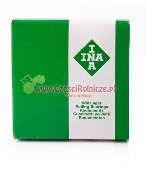 INA.jpg