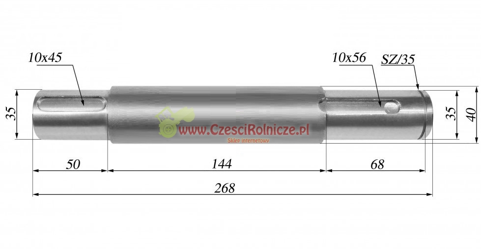 BI10910.jpg