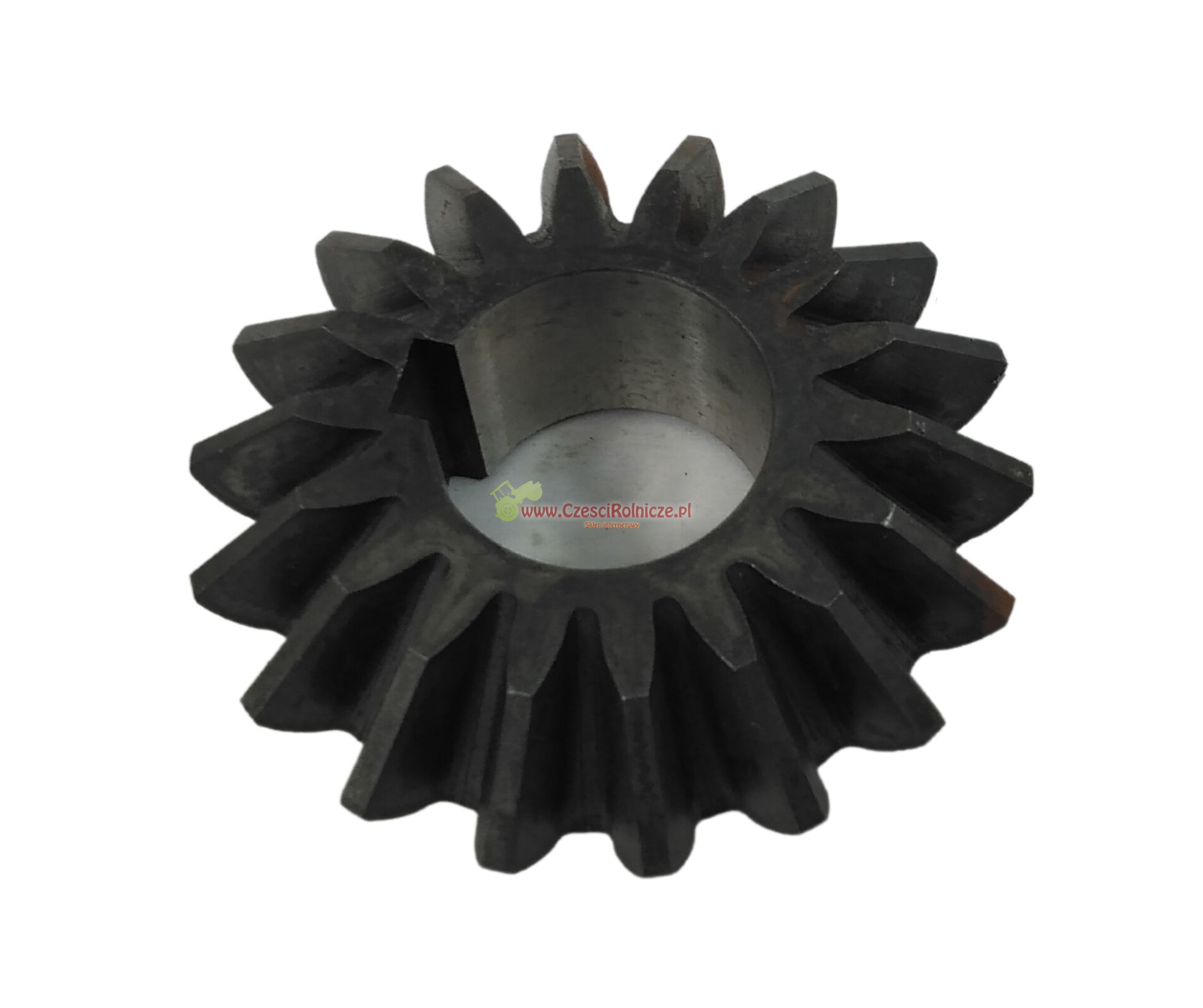 RW009007.jpg