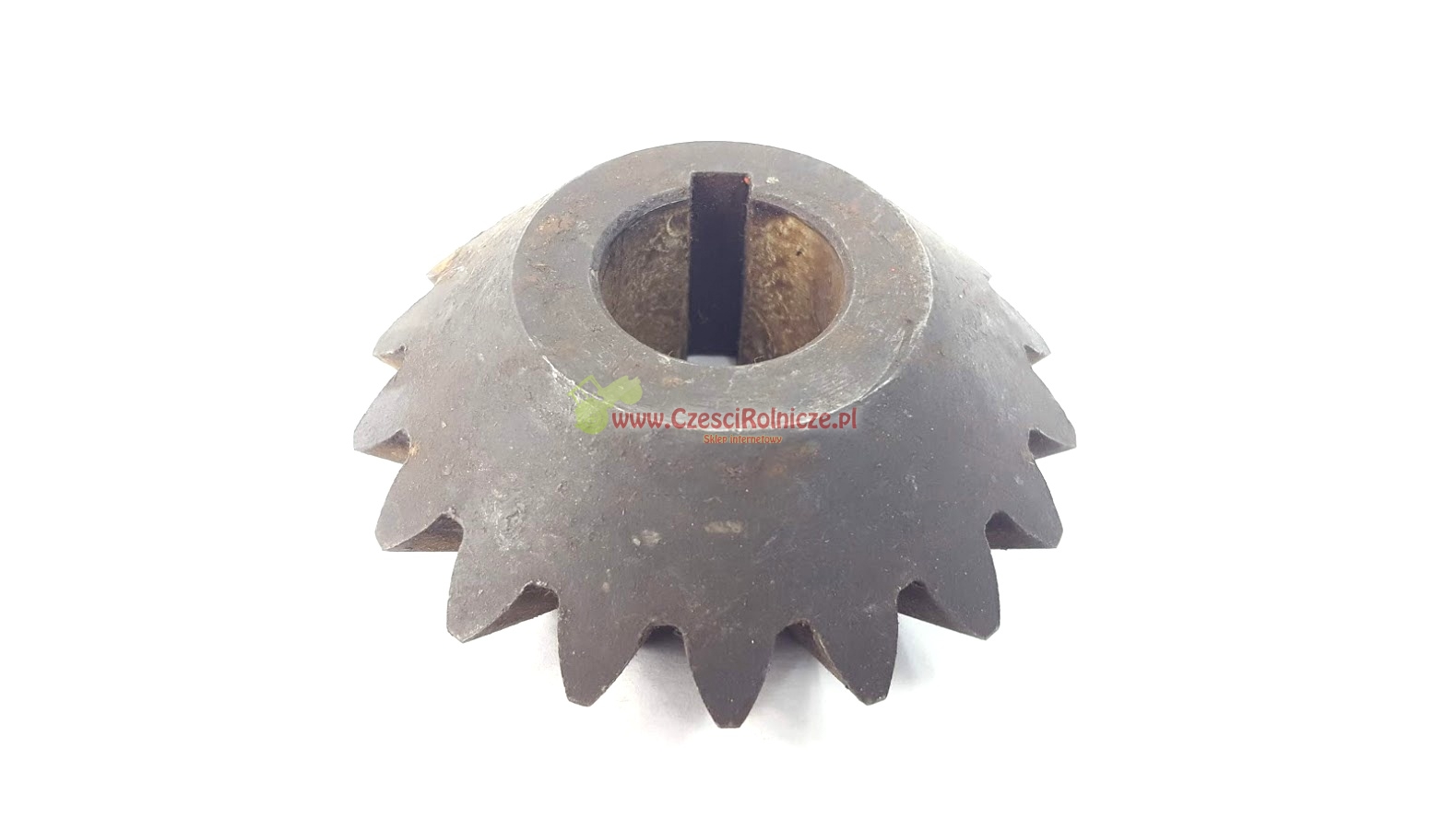 rw008031 KOŁO STOŻKOWE Z=18