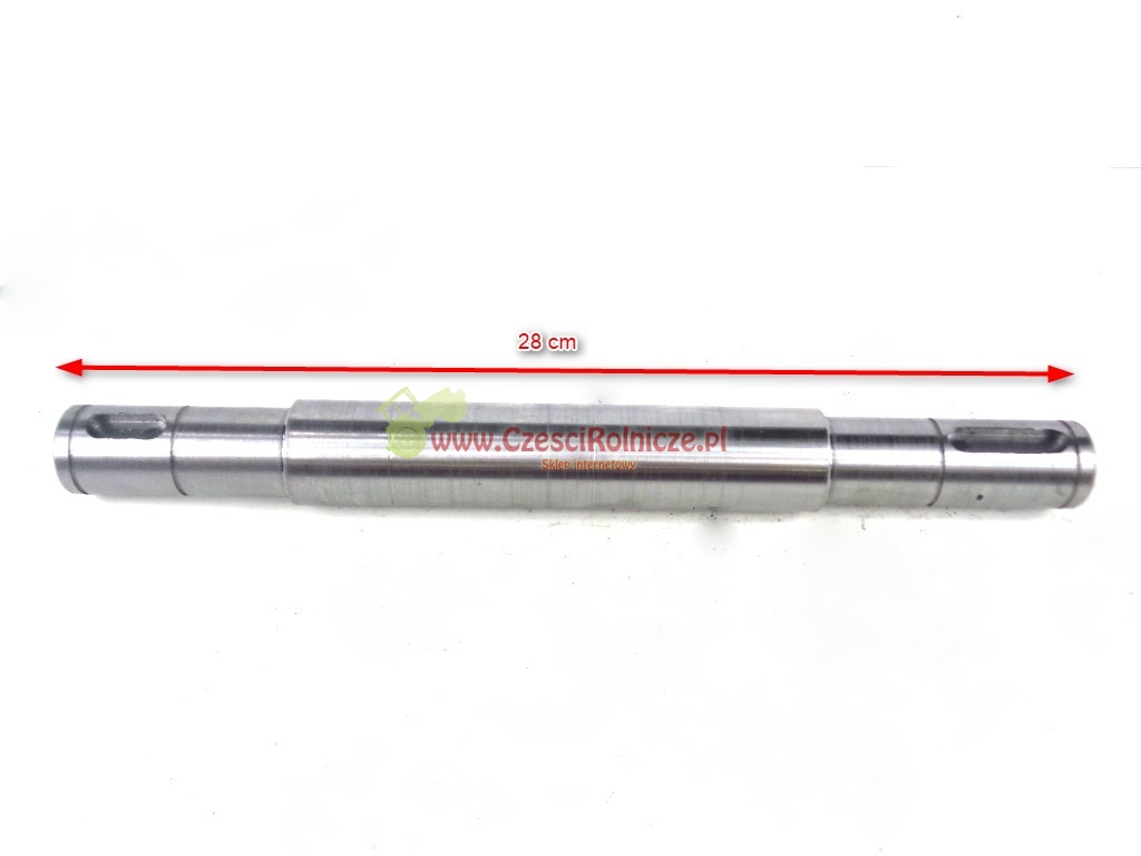 BI22003-001.jpg