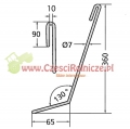 3755300amazone.jpg