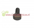 SCE061037-ZAM-2.jpg