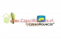 sca046036  M8*25 ŚRUBA WPUSZCZANA