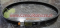 51J-2400 PAS KLINOWY 603317.0