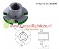 RO039.jpg