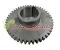 UZ032055-1.jpg