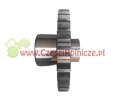 SCE111025-ZAM.jpg