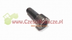 IMBUS  M10* 25  (PN 82302/ DIN 912)  KL. [ŚI10025]