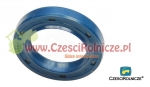 SIMMERING FI-80 LEWY CORTECO ( NR KAT. F184100220071) [PSC08010012]
