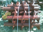 BĘBEN ŚLIMAKOWY PRAWOSKRĘTNY [RN0120011]