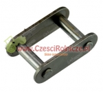 SPINACZ  S55R1  ( 41,40* 8,90 ) [ŁG356]