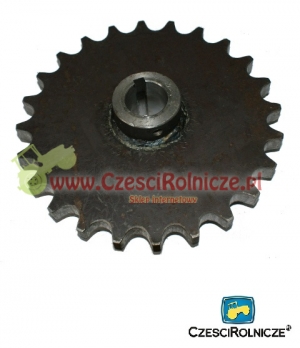 KOŁO ŁAŃCUCH.  1" 16B-1  Z-24 FI 30 [RO009]