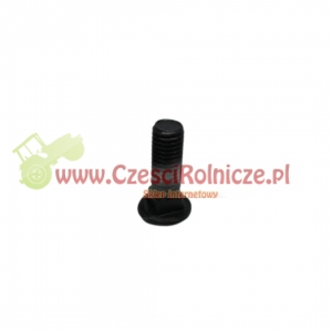 ŚRUBA  M12* 35   PŁUŻNA   KWADRAT [PŁ63936]