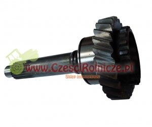 WAŁEK SPRZĘGŁOWY Z=25 [UD033854]