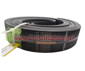4B-6040  PAS OPTIBELT AP1003966 - [PK604038-O]