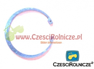 12 - PIERŚCIEŃ OSADCZY 100W [PO2100]