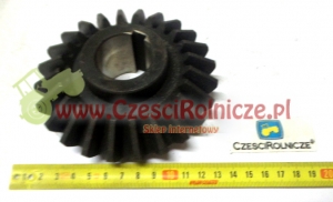 KOŁO STOŻKOWE Z-24 [RO00-0004]