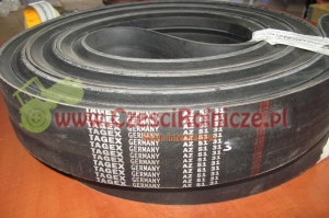 ZESPÓŁ PASÓW KLINOWYCH      AZ51313  (3+2) [PK60009]