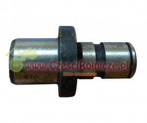 33 - TRZPIEŃ ROLKI      5543/03-02-202/3 [ZPB0733]