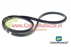 C-2279   PAS KLINOWY [PK22794]