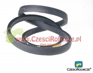 HL-3200     PAS KLINOWY   BIZON JEZDNY [PK320038-S]