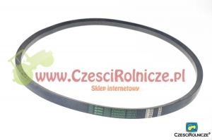 25*16-1731       PAS KLINOWY   BIZON [PK17316]