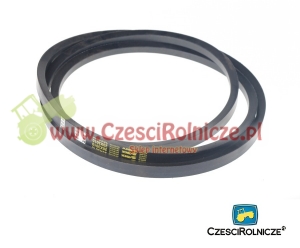 20*12,5-3010       PAS KLINOWY BIZON [PK30105]