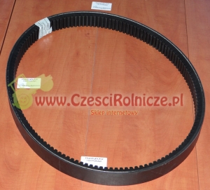 50-1808 LZ   PAS KLINOWY    1613159 Z, 702536 [PK181541-G]