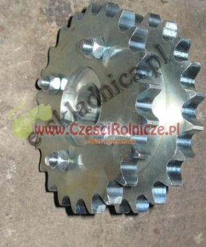 12 - KOŁO ŁAŃCUCH.  1" 16B-2   Z=22/Z=22 [ZPA1012]