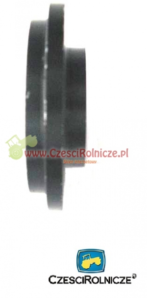 560008022510 PIERŚCIEŃ [PW323003]