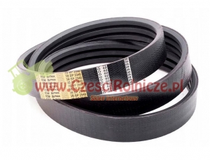 3B-2940       PAS KLINOWY  BIZON [PK294037]