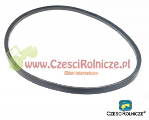 C-1900   PAS KLINOWY [PK19004]