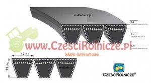 3B BP/H-2120  PAS HARVEST [PK211037-H]