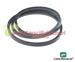 C-3200   PAS KLINOWY   066232 [PK32004]