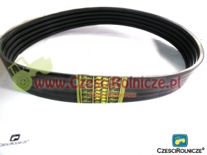 5B-1915   PAS KLINOWY  1825189 [PK191539-G]