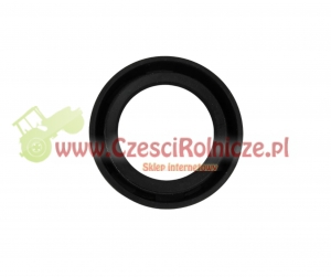 SIMMERING   27.00*41.00*10.00  JUROP [BN219]