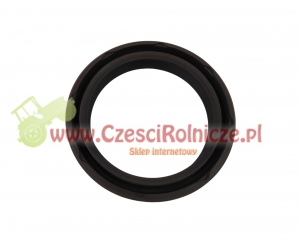 SIMMERING   55.00 * 70.00 * 15.00 [BN277]