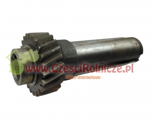 38 - WAŁEK 89120881 [UD030438]