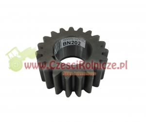 ZĘBNIK  JUROP [BN202]