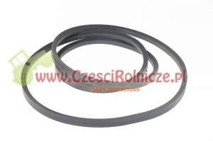 C-2310   PAS KLINOWY   NEPTUN [PK23104]