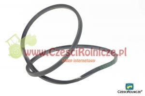 B-1950   PAS KLINOWY  639226 [PK19503]