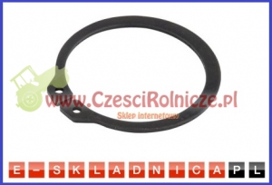 PIERŚCIEŃ OSADCZY  24Z [PO1024]