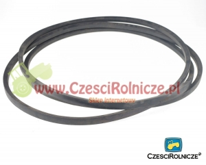 C-5600   PAS KLINOWY [PK56004]