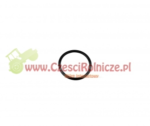 ORING   32.20 * 3.00 [CFN101]