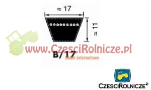 B-1845   PAS KLINOWY [PK18453]